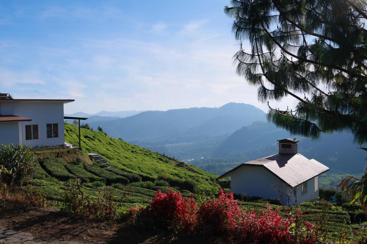 Planters Punch Resort Udagamandalam Exterior photo